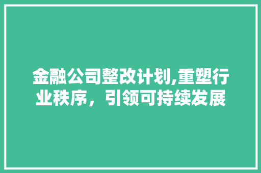 金融公司整改计划,重塑行业秩序，引领可持续发展