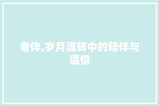 老伴,岁月流转中的陪伴与温情