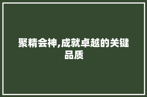 聚精会神,成就卓越的关键品质