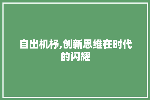 自出机杼,创新思维在时代的闪耀