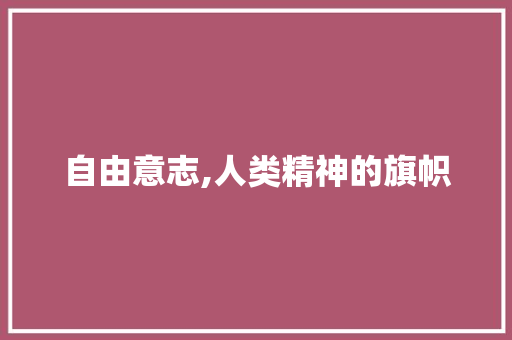 自由意志,人类精神的旗帜
