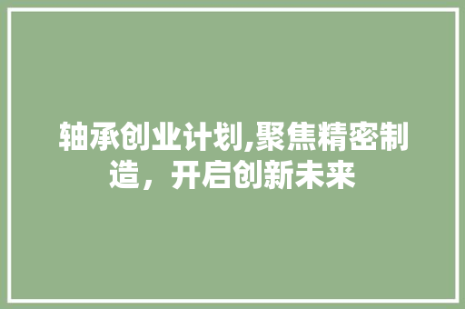轴承创业计划,聚焦精密制造，开启创新未来