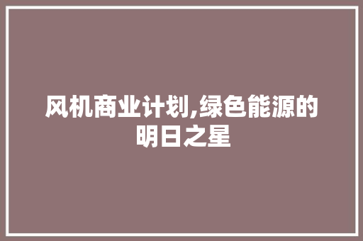 风机商业计划,绿色能源的明日之星