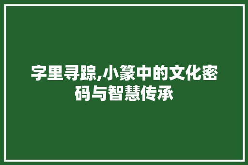 字里寻踪,小篆中的文化密码与智慧传承