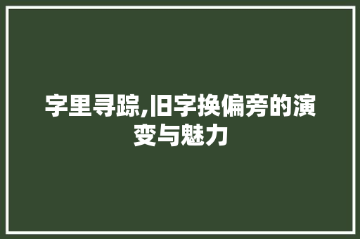 字里寻踪,旧字换偏旁的演变与魅力