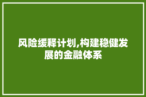 风险缓释计划,构建稳健发展的金融体系