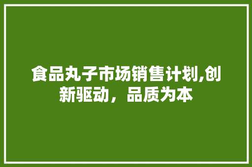 食品丸子市场销售计划,创新驱动，品质为本 工作计划
