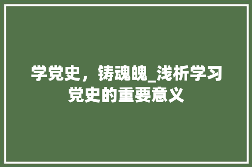 学党史，铸魂魄_浅析学习党史的重要意义