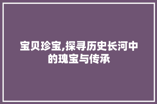 宝贝珍宝,探寻历史长河中的瑰宝与传承
