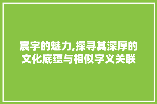 宸字的魅力,探寻其深厚的文化底蕴与相似字义关联