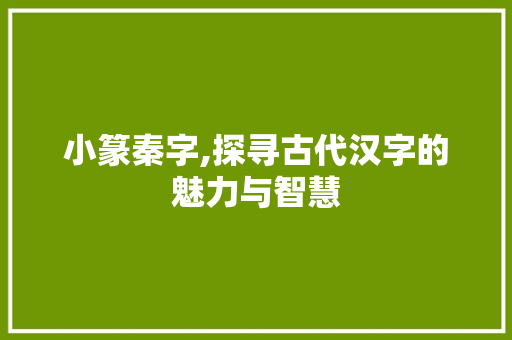 小篆秦字,探寻古代汉字的魅力与智慧