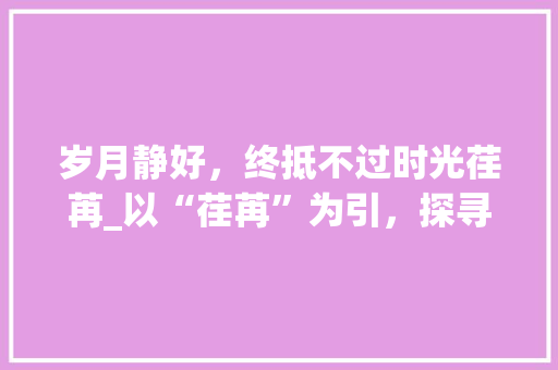 岁月静好，终抵不过时光荏苒_以“荏苒”为引，探寻岁月的伤感