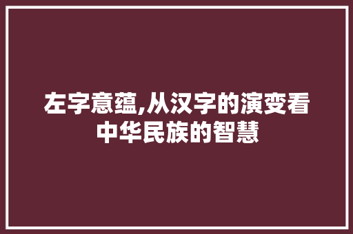 左字意蕴,从汉字的演变看中华民族的智慧
