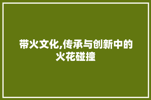 带火文化,传承与创新中的火花碰撞