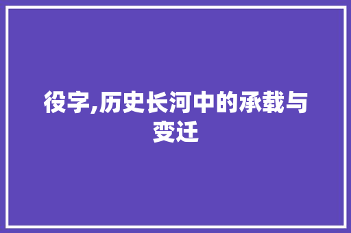 役字,历史长河中的承载与变迁