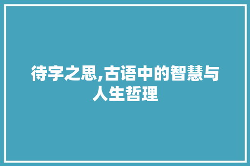 待字之思,古语中的智慧与人生哲理