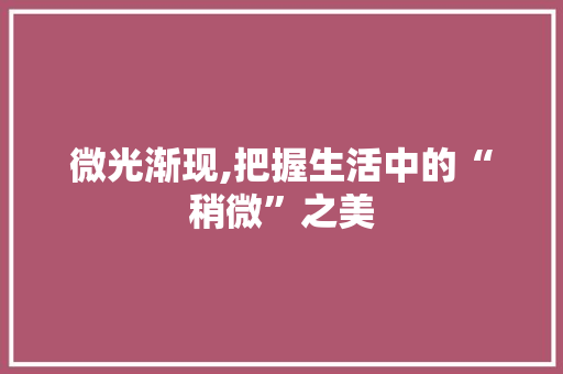 微光渐现,把握生活中的“稍微”之美