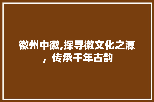 徽州中徽,探寻徽文化之源，传承千年古韵