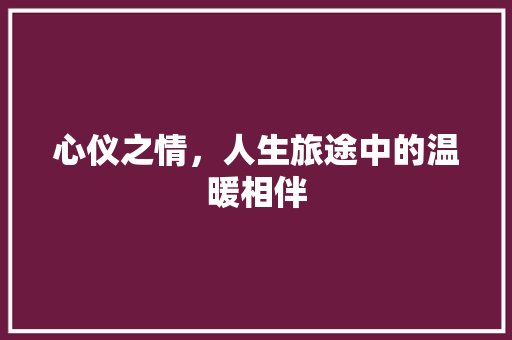 心仪之情，人生旅途中的温暖相伴