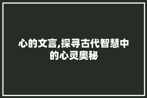 心的文言,探寻古代智慧中的心灵奥秘