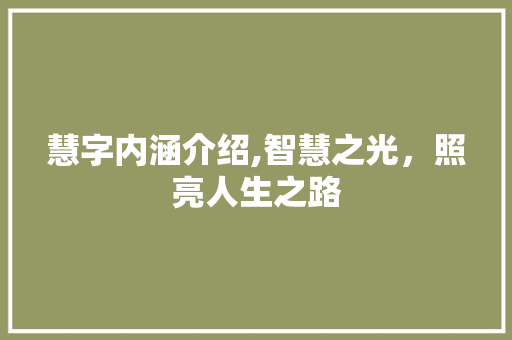 慧字内涵介绍,智慧之光，照亮人生之路