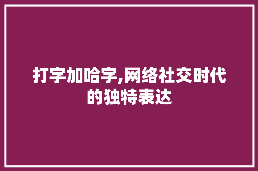 打字加哈字,网络社交时代的独特表达