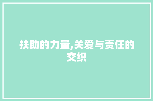扶助的力量,关爱与责任的交织