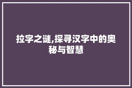 拉字之谜,探寻汉字中的奥秘与智慧