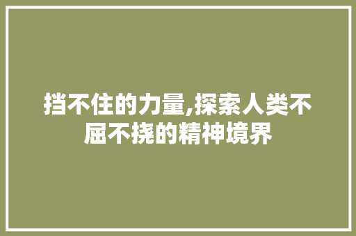 挡不住的力量,探索人类不屈不挠的精神境界