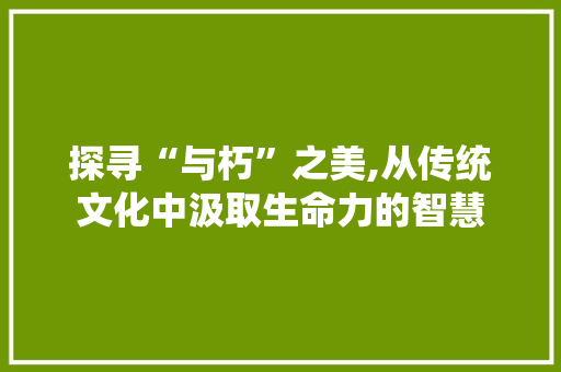 探寻“与朽”之美,从传统文化中汲取生命力的智慧