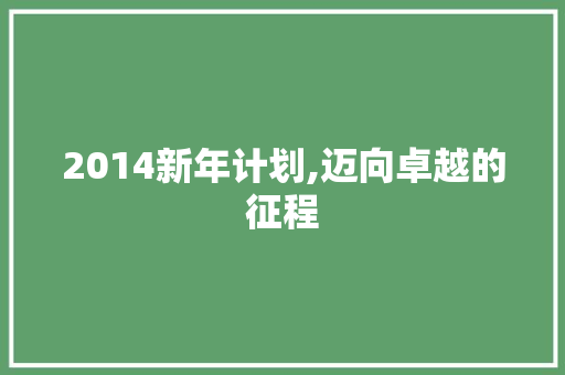 2014新年计划,迈向卓越的征程
