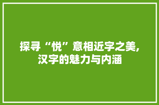 探寻“悦”意相近字之美,汉字的魅力与内涵