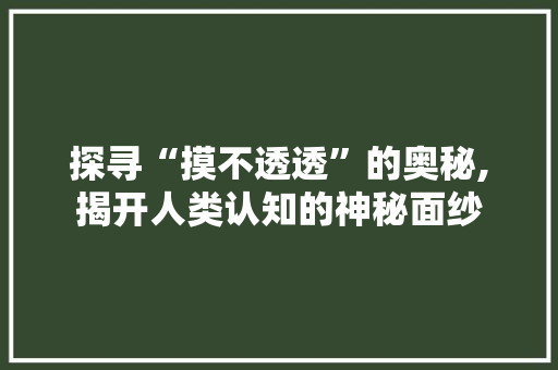 探寻“摸不透透”的奥秘,揭开人类认知的神秘面纱