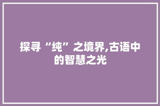 探寻“纯”之境界,古语中的智慧之光