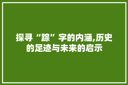 探寻“踪”字的内涵,历史的足迹与未来的启示