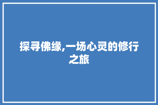 探寻佛缘,一场心灵的修行之旅
