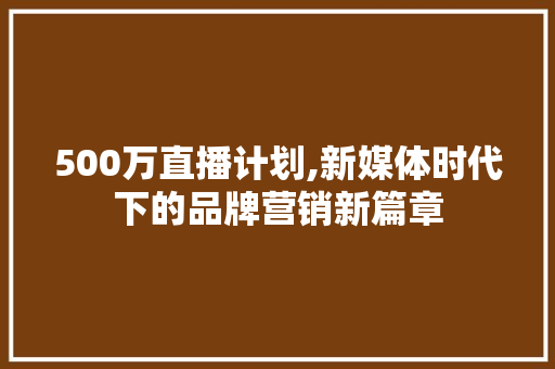 500万直播计划,新媒体时代下的品牌营销新篇章