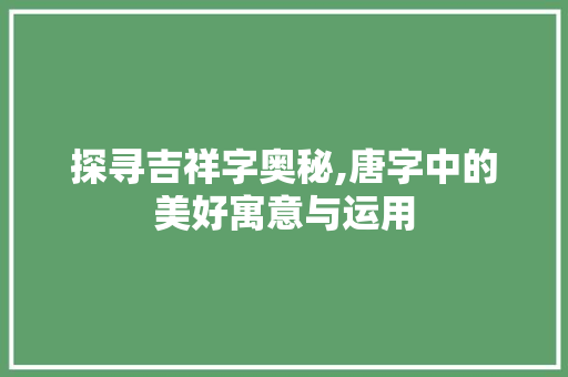 探寻吉祥字奥秘,唐字中的美好寓意与运用
