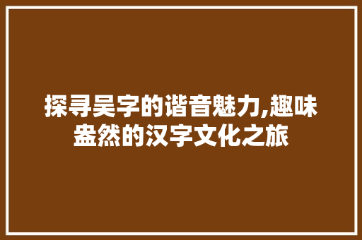 探寻吴字的谐音魅力,趣味盎然的汉字文化之旅