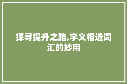 探寻提升之路,字义相近词汇的妙用