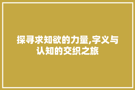 探寻求知欲的力量,字义与认知的交织之旅