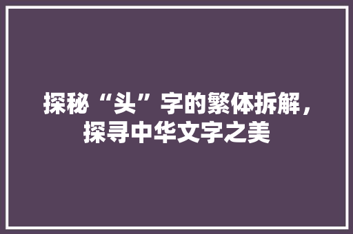 探秘“头”字的繁体拆解，探寻中华文字之美