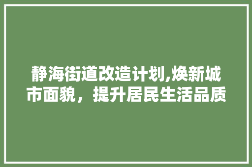静海街道改造计划,焕新城市面貌，提升居民生活品质