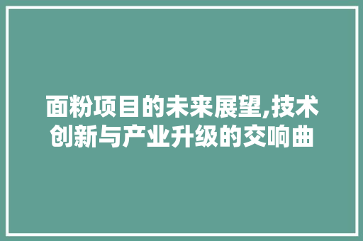 面粉项目的未来展望,技术创新与产业升级的交响曲