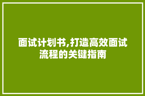 面试计划书,打造高效面试流程的关键指南 成语大全