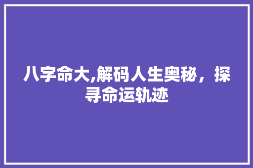 八字命大,解码人生奥秘，探寻命运轨迹