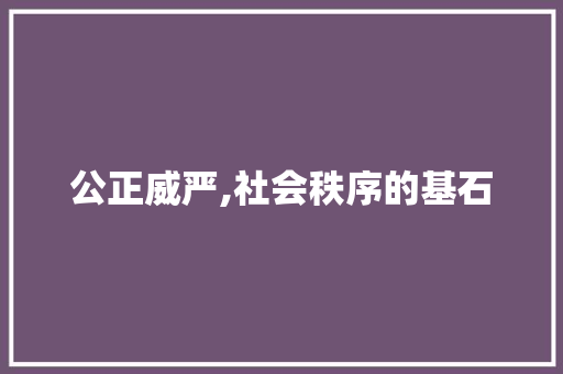 公正威严,社会秩序的基石