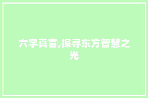六字真言,探寻东方智慧之光