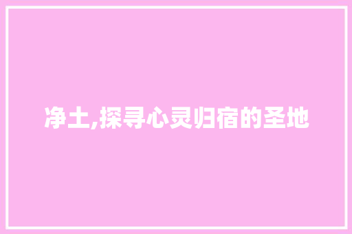 净土,探寻心灵归宿的圣地