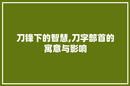刀锋下的智慧,刀字部首的寓意与影响